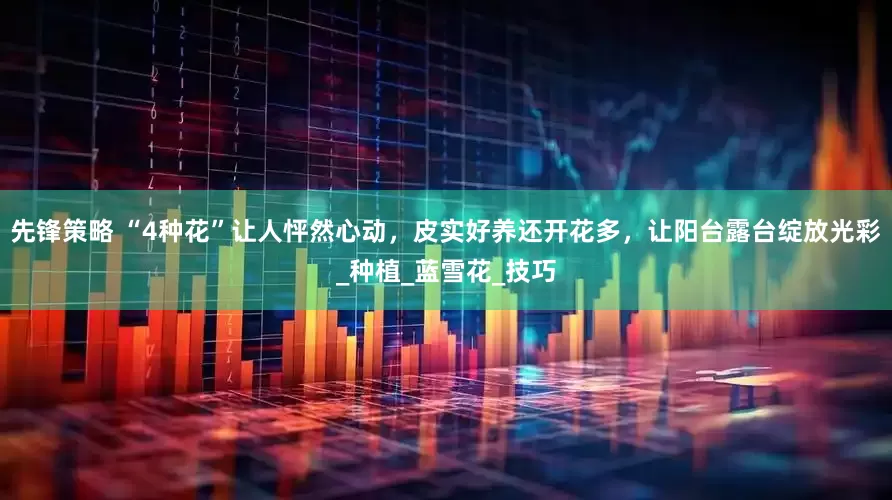 先锋策略 “4种花”让人怦然心动，皮实好养还开花多，让阳台露台绽放光彩_种植_蓝雪花_技巧