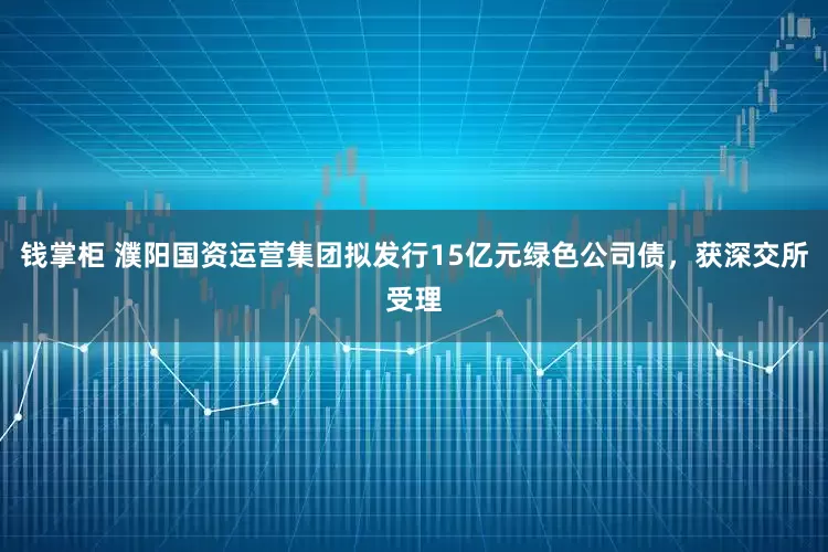 钱掌柜 濮阳国资运营集团拟发行15亿元绿色公司债，获深交所受理
