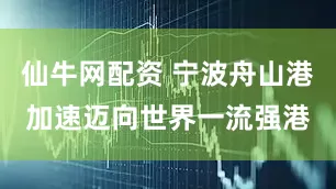 仙牛网配资 宁波舟山港加速迈向世界一流强港